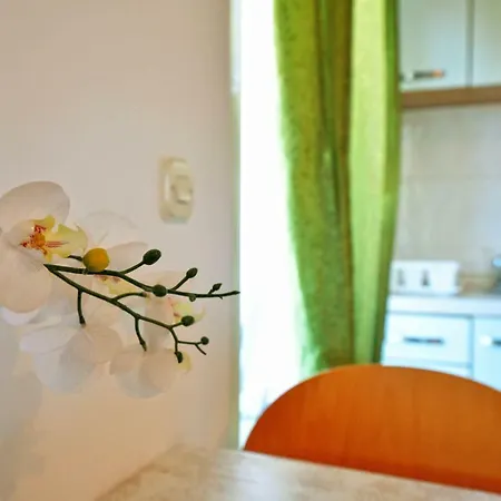 公寓 Jagoda 穆泰尔岛